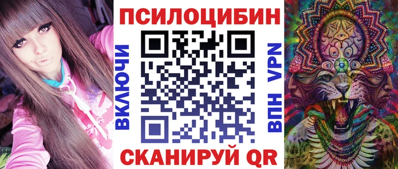 Псилоцибиновые грибы Cubensis  Козельск 
