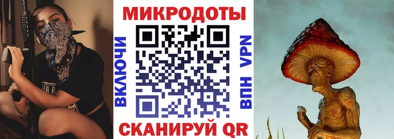 Псилоцибиновые грибы Psilocybe Козельск